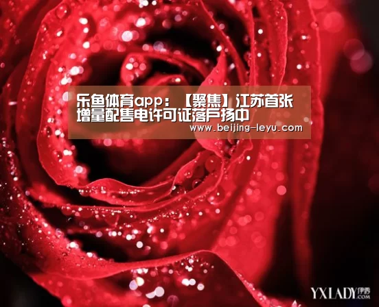 乐鱼体育官网