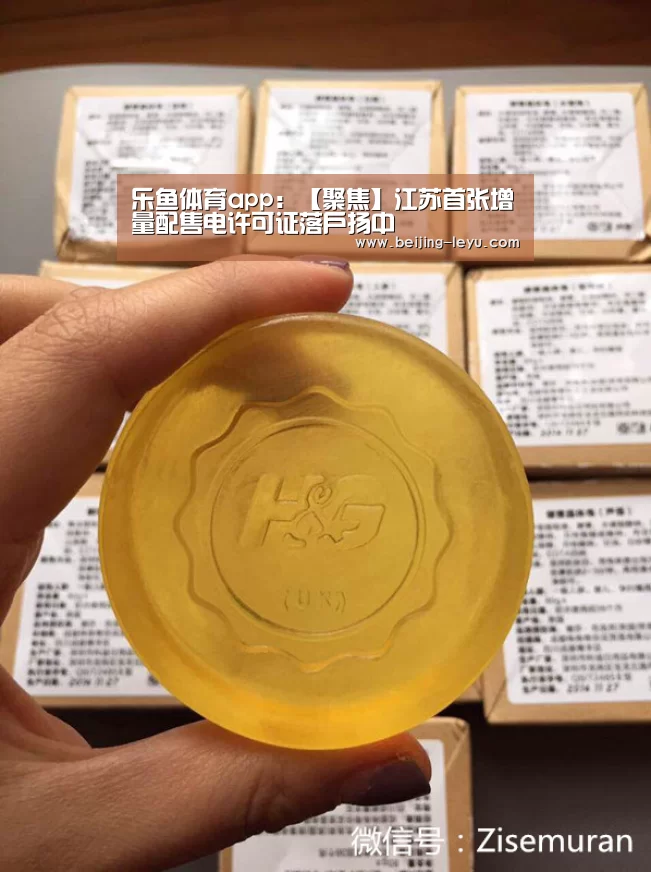 乐鱼