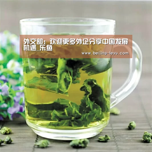 乐鱼体育